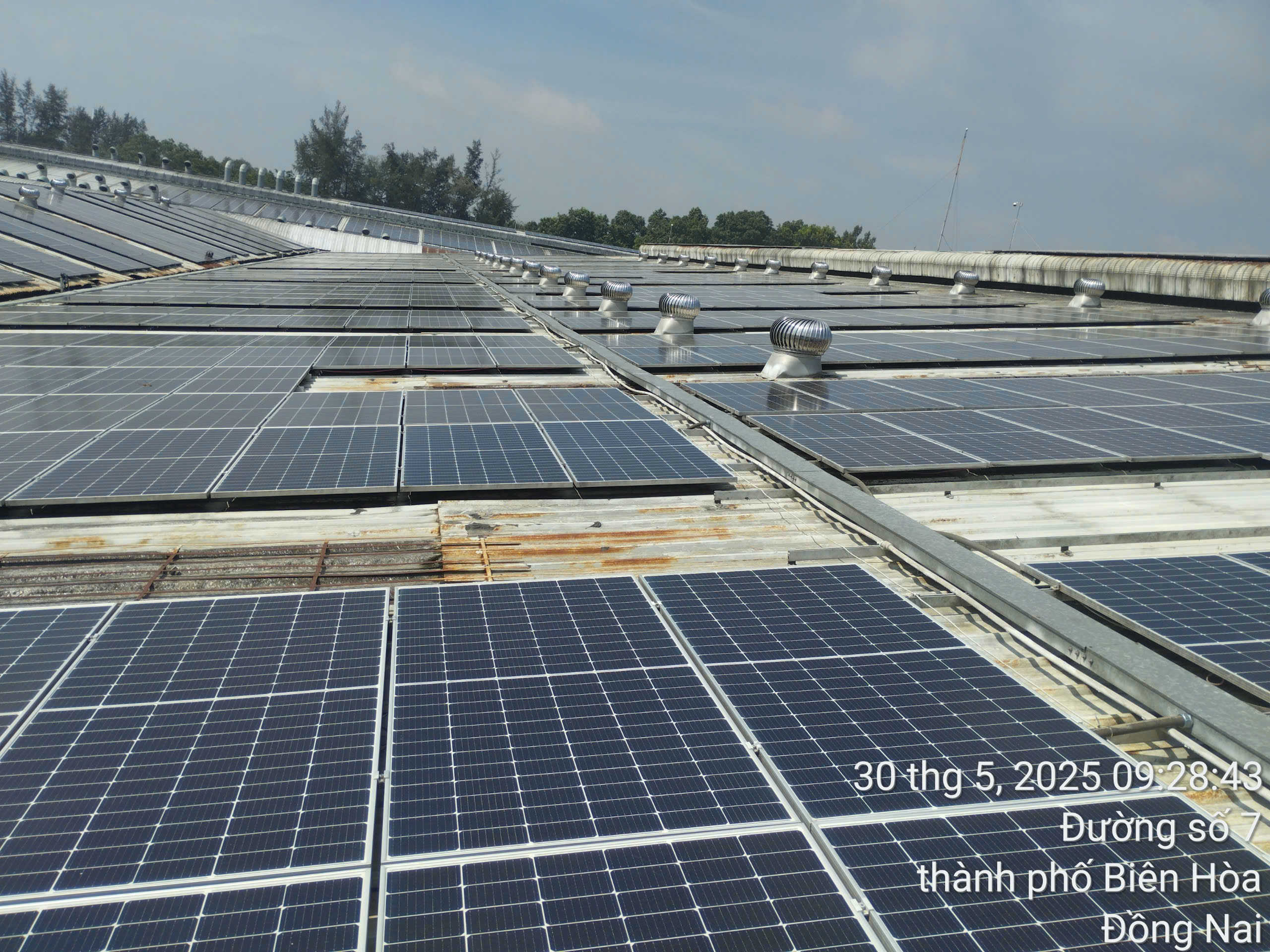 Về TELIN Solar